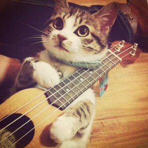 亚洲欧美激情影院
